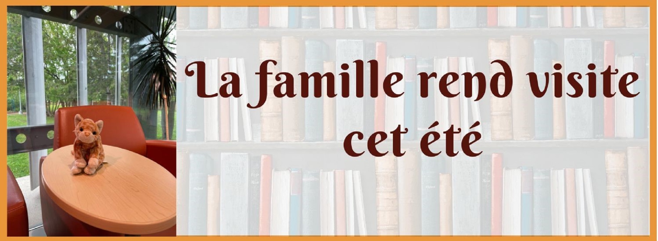 Biblio Chat se détend sur une fauteil près de la fenêtre.