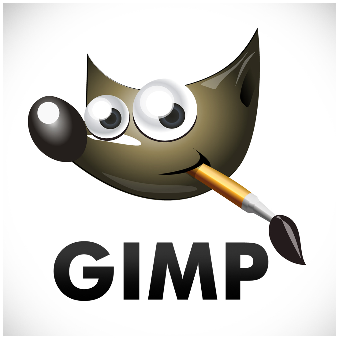 Software Logo: Gimp