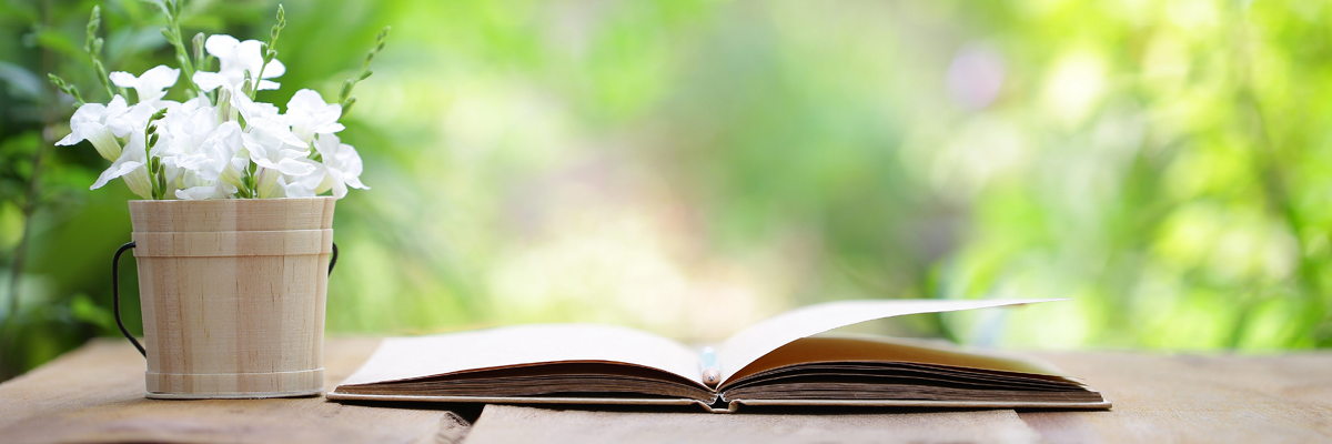 an open book and a flower pot on an outdoor table