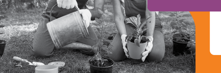 Gardening Gloved hands handle plants