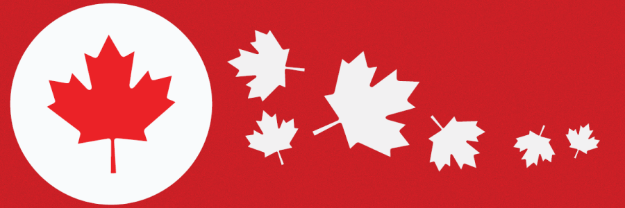 maple leave with red background