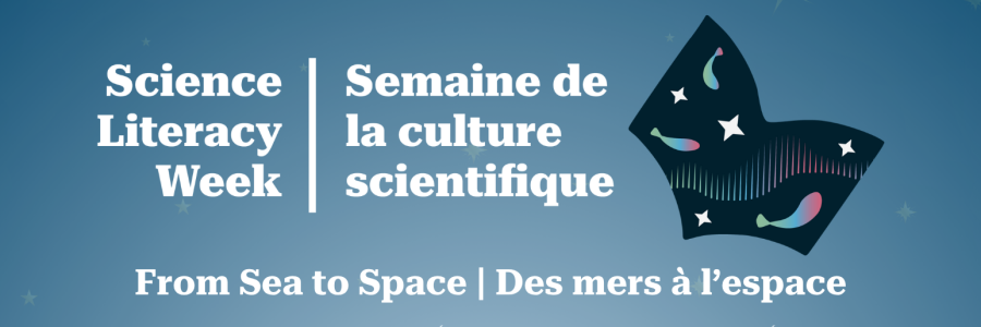 book with images of fish and stars / livre avec les images de poissons et d'étoiles