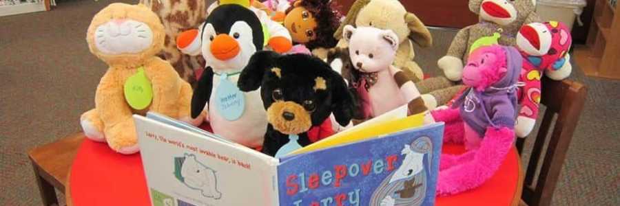 Stuffie library sleepover Stuffie library sleepover